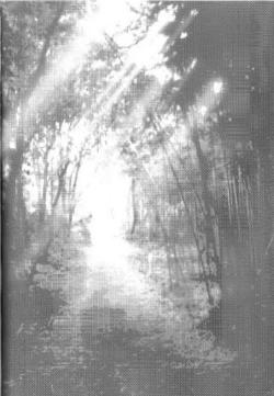 Page 4 of Yoru wa Mijikashi Koiseyo Shounen