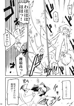 Page 113 of Touhou Reishuu-den