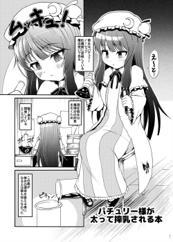 Page 1 of Patchouli-sama ga Futotte Sakunyuu Sareru Hon