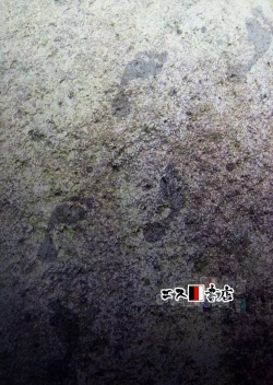 Page 26 of Hadashi no ashioto + Melonbooks Tokuten Clear File