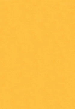 Page 4 of IN THE BOX