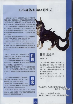 Page 55 of Seinarukana The Spirit of Eternity Sword 2 Material Book