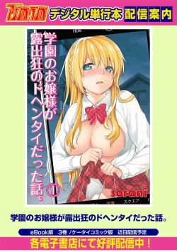 Page 27 of Gakuen no Ojou-sama ga Roshutsukyou no Dohentai datta Hanashi Ch.4