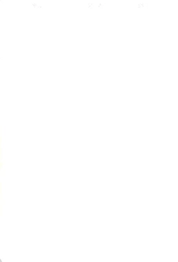 Page 27 of Kaiketsu Punitto! 2