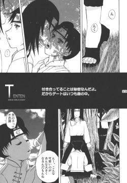 Page 22 of Ninja Girl's Diary