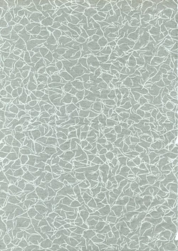 Page 2 of Sakura Ame Final 1