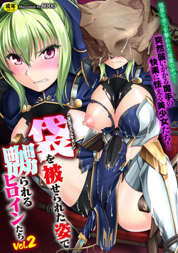 Download 2D Comic Magazine Fukuro o Kabuserareta Sugata de Naburareru Heroine-tachi Vol. 2