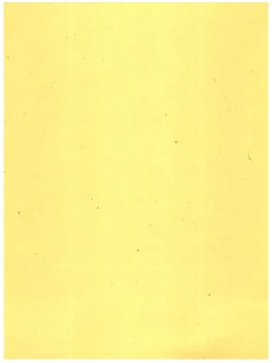 Page 2 of Syuchi Tettei