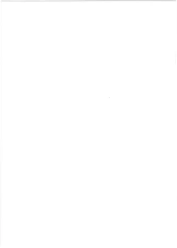 Page 31 of Micro Bikini de Umi ni Ittara Ojisan-tachi ni RapeShite Moraechatta Onnanoko no Hon