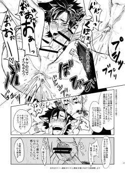 Page 17 of Fate/Wolf