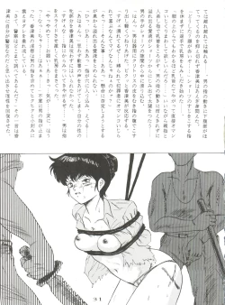 Page 31 of Nan Demo R Go Final!