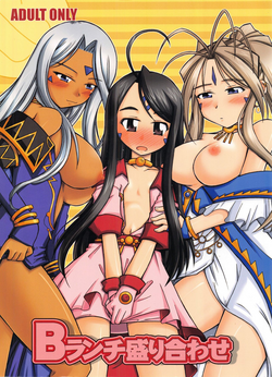 Download B Lunch Moriawase