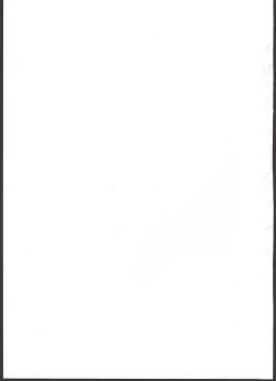 Page 15 of Sansan Sunny