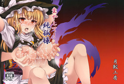 Download Hayashite Junko-sama!