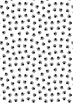 Page 31 of Shiri Ana Hore Wanwan