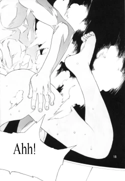 Page 17 of SYNCHROCORD 3