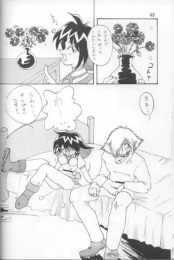 Page 46 of Slayers Adult Mix