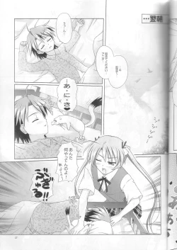 Page 25 of Negima!x 3 Final!