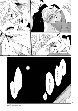 Page 11 of WOLF'S CAT Macaron: