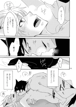 Page 23 of WOLF'S CAT Macaron: