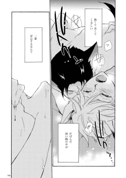 Page 24 of WOLF'S CAT Macaron: