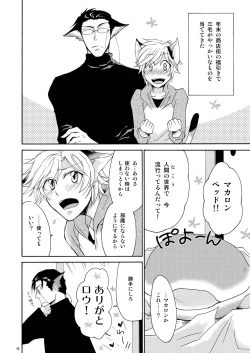 Page 4 of WOLF'S CAT Macaron: