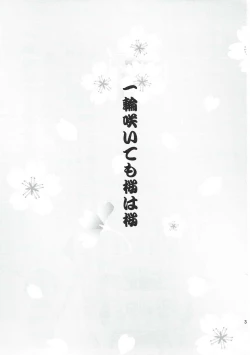 Page 2 of Ichirin Saite mo Sakura wa Sakura