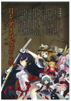 Page 5 of 戦国†恋姫 ～乙女絢爛☆戦国絵巻～ ビジュアルファンブック-2