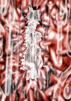 Page 161 of Fushigi SekaiNonona 29