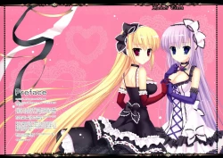 Page 3 of FLOWER TIARA