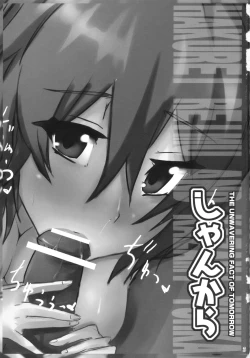 Page 4 of Shankara - The Unwavering Fact of Tomorrow