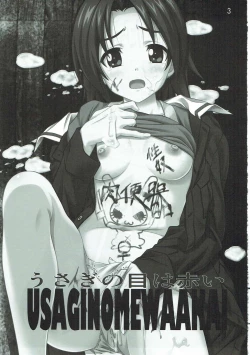 Page 2 of Usagi no Me wa Akai