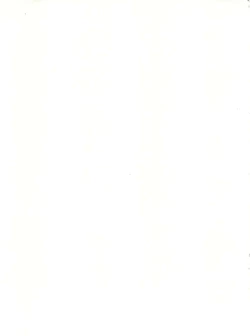 Page 55 of ライジング・サン 英雄本色III A Better Tommorow III