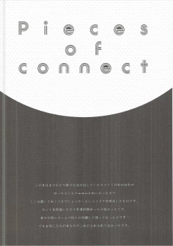 Page 11 of Pieces of connect