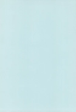 Page 2 of Illusion Mamire