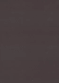 Page 4 of Aru Hi no Sawamura Eijun no Sainan