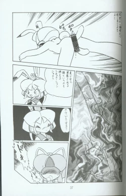 Page 36 of Cattou Ninden Teyandee Ryou