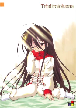 Page 4 of Trinitrotoluene