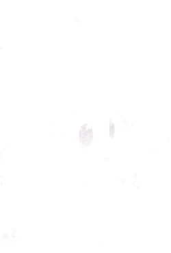 Page 2 of Pepi Tsuu #26