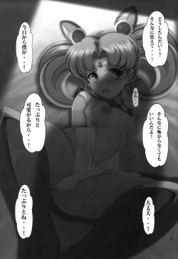 Page 5 of Chibiusa Shiiku Nisshi