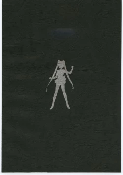 Page 114 of Gekkou Seleneti 2