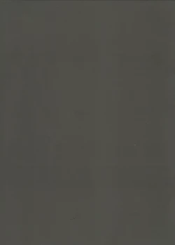 Page 14 of Shikikan!! Watashi ga Ireba Juubun desuyo