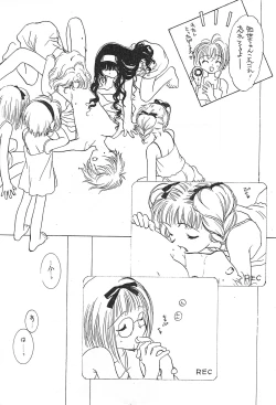 Page 15 of Powerful Seafood Cake