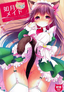 Download Kisaragi Nyanko Maid