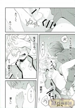 Page 17 of Preparate