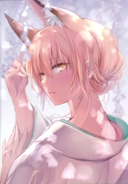 Page 22 of Irui Konintan Gaiden