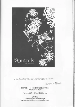 Page 22 of Sputnik Introduction
