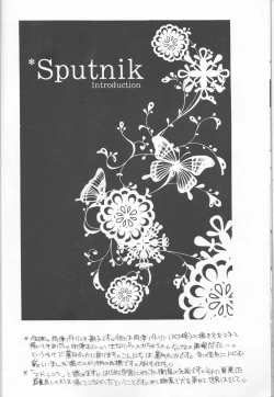 Page 8 of Sputnik Introduction