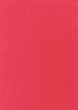 Page 2 of Hitotsuki Dake no Koibito