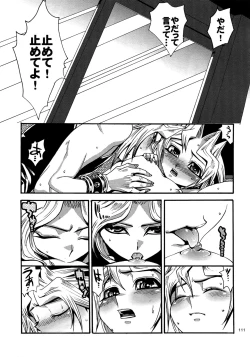 Page 110 of RE:WW4 AURORA Shirizu Sairoku-Shuu